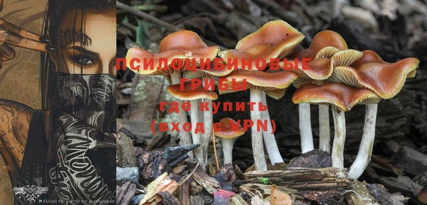 каннабис Болхов